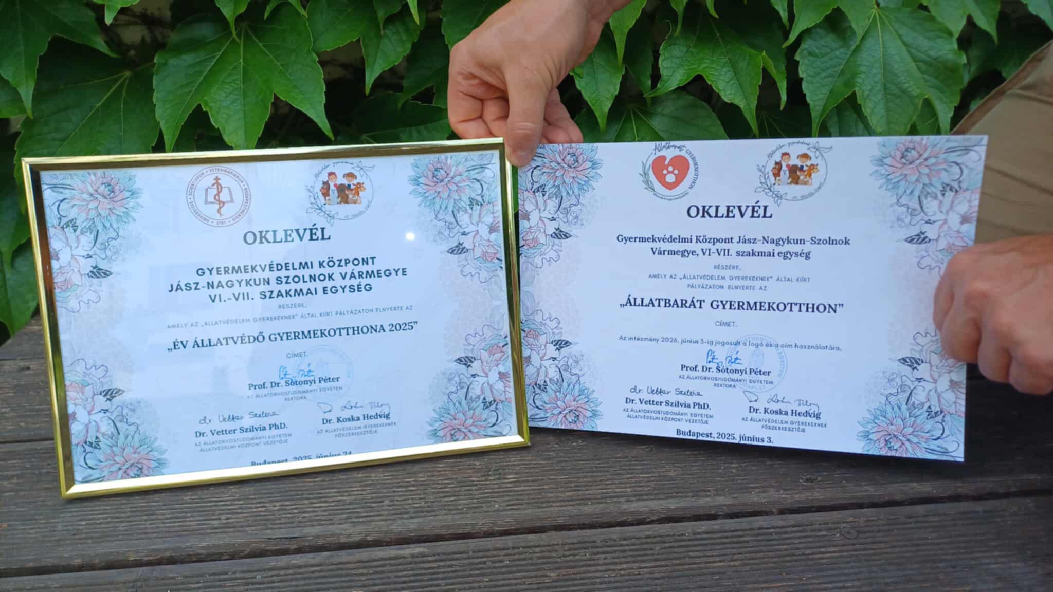 Oklevelek